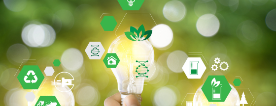 Image for Green Innovation