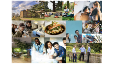 Image for Human Skills for a Changing World.