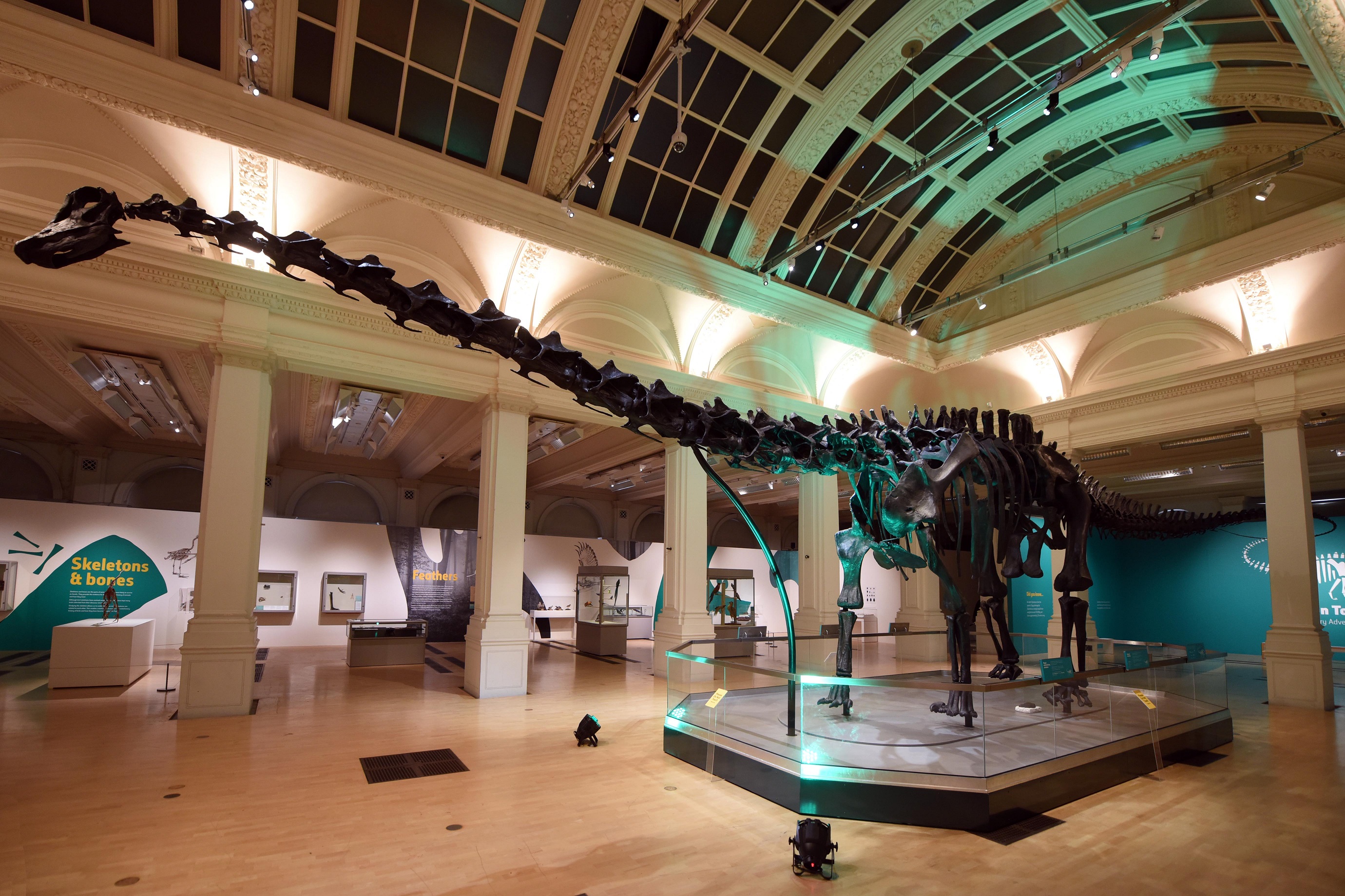 Birmingham Museum & Art Gallery Celebrates Boost in Visitor Figures