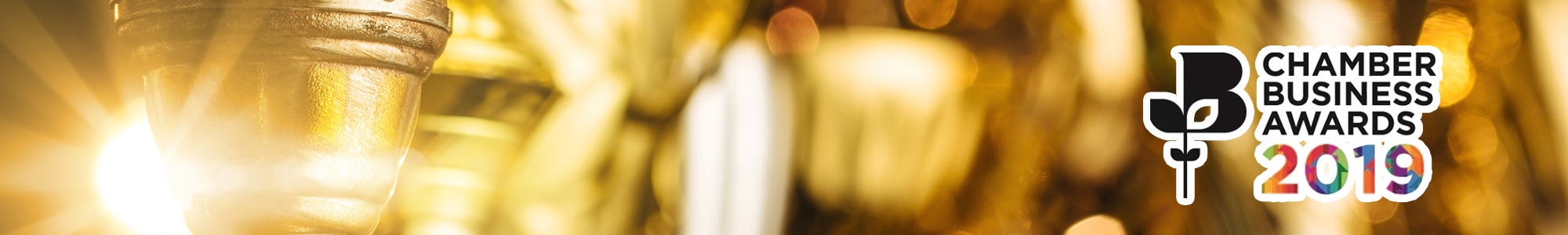 Banner-Chamber-Business-Awards-2019.jpg