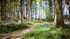 Image for Open Air Wellness Programme