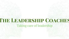 Image for The Leadership Coaches Turns One
