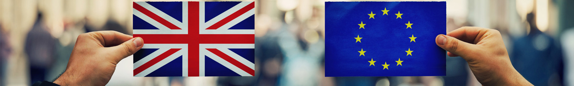Web banner.jpg