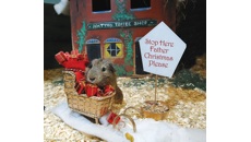 Image for Hatton Country World delivered a magical Christmas for families from Roald Dahl’s Marvellous Children’s Charity!